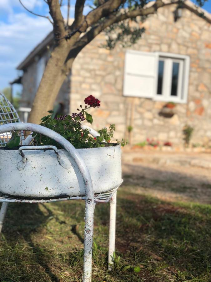 Cottage Rugonj スタリー・グラード エクステリア 写真