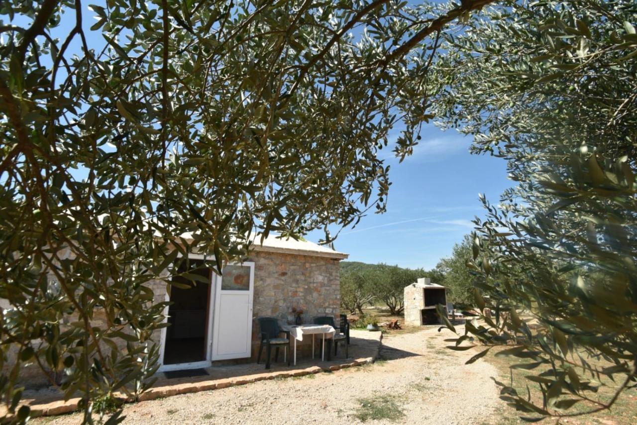 Cottage Rugonj スタリー・グラード エクステリア 写真
